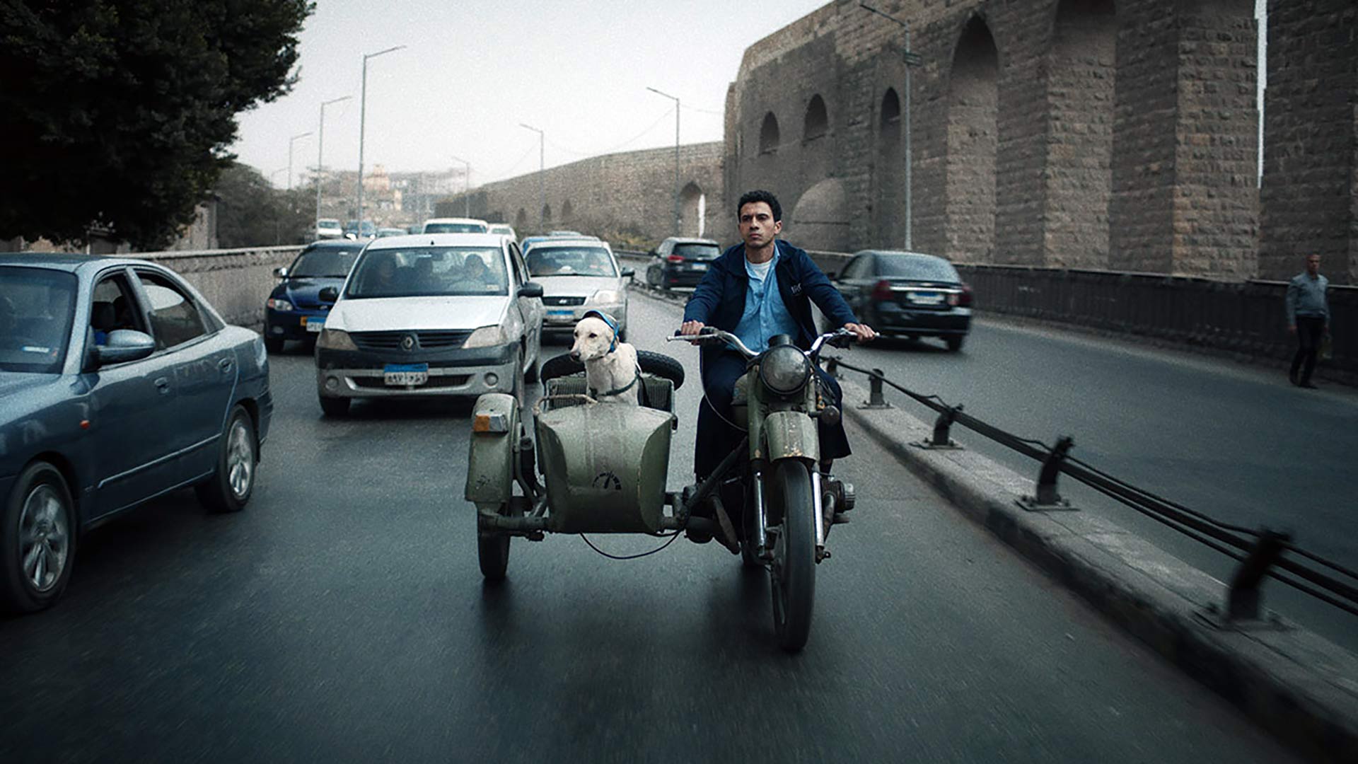 Seeking Haven for Mr. Rambo + Chinatown Cowboy