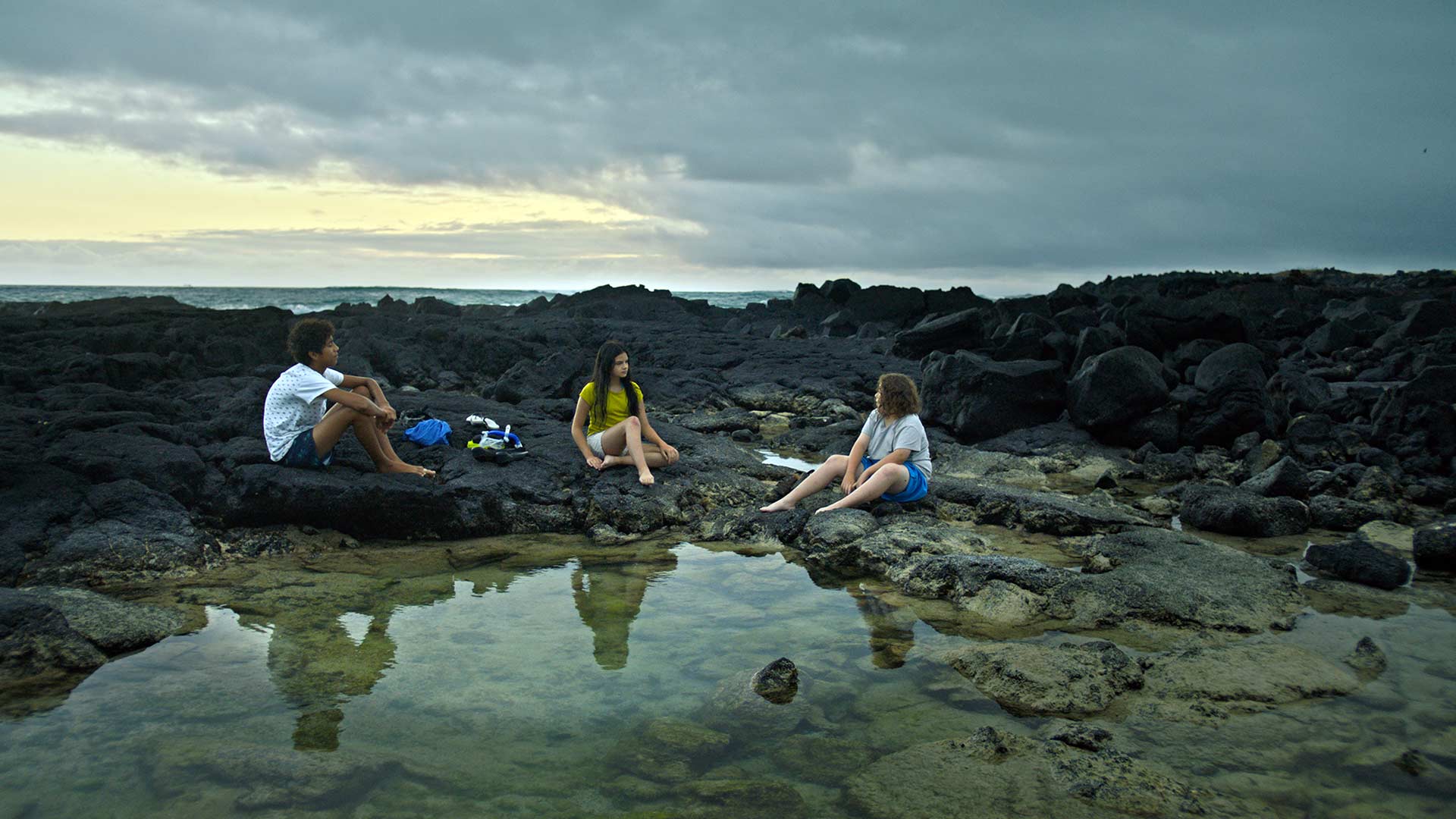 On The Invention of Species (La invención de las especies)