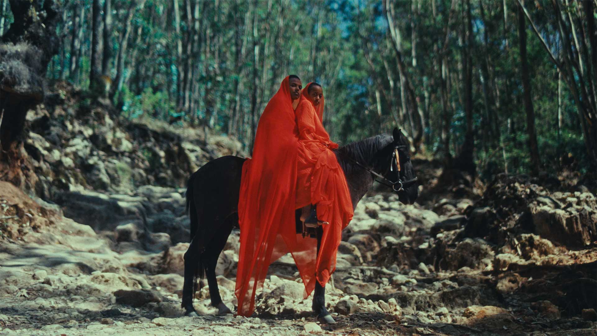 Focus on Ethiopia: Short Film Program + Closing Reception