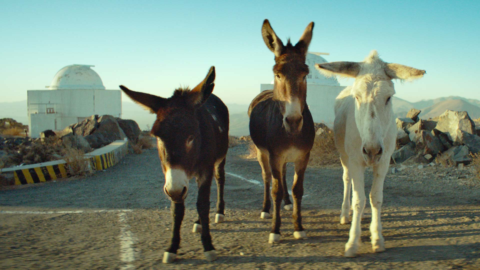 2026 Oscar Nominated Short Films – Documentary