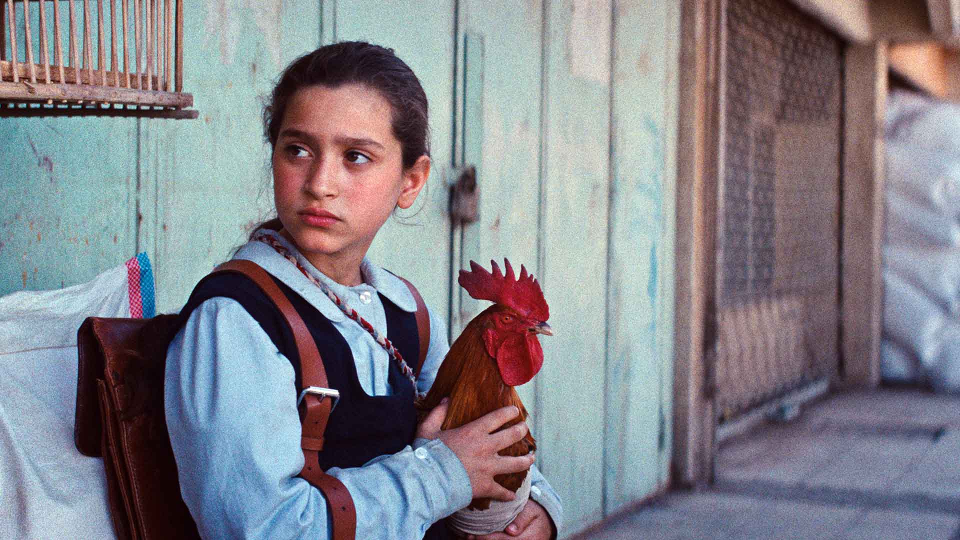 The President’s Cake